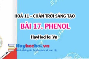 Phenol là gì, tính chất hoá học, tính chất vật lí của Phenol, điều chế và ứng dụng? Hoá 11 chân trời bài 17
